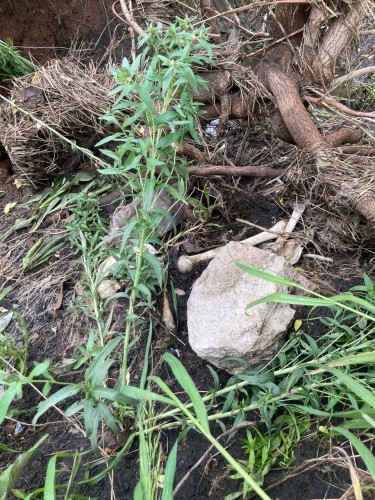 В Грачевском районе подростки-рыбаки обнаружили человеческий череп.