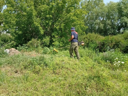 Полицейские изъяли из незаконного оборота более 300 грамм наркотиков Полицейские изъяли из незаконного оборота более 300 грамм наркотиков