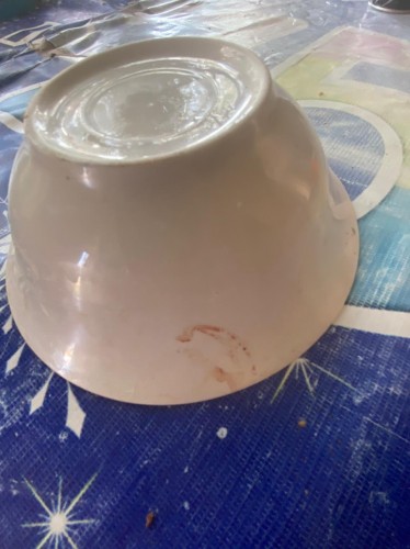 Первомайские полицейские возбудили уголовное дело по факту причинения легкого вреда здоровью тарелкой