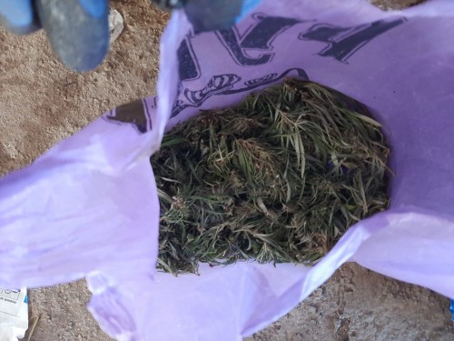 Саракташскими полицейскими  в рамках ОПМ «Мак» изъяты наркотики растительного происхождения