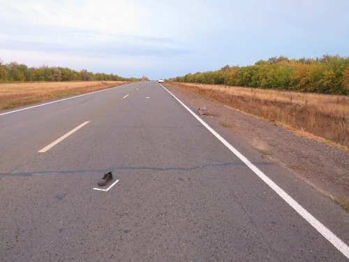 Саракташские полицейские устанавливают обстоятельства гибели пешехода Саракташские полицейские устанавливают обстоятельства гибели пешехода