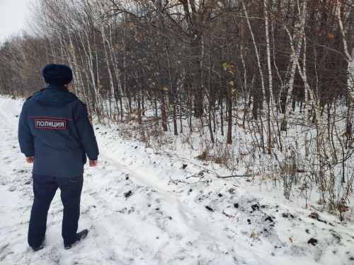 В Бугурусланском районе участковые выявили факт незаконной охоты.