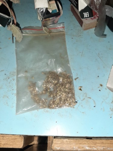 Саракташскими полицейскими изъяты наркотики растительного происхождения