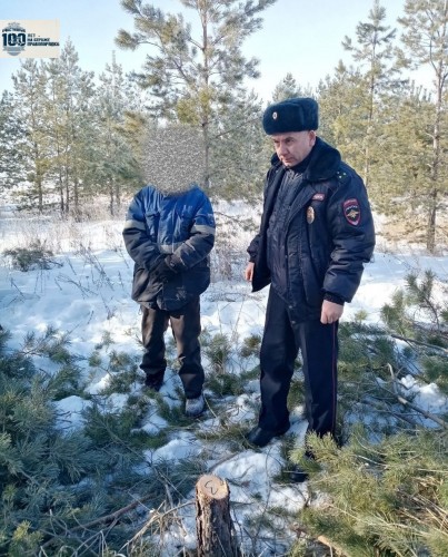    Курманаевскими полицейскими выявлен факт незаконной рубки леса
