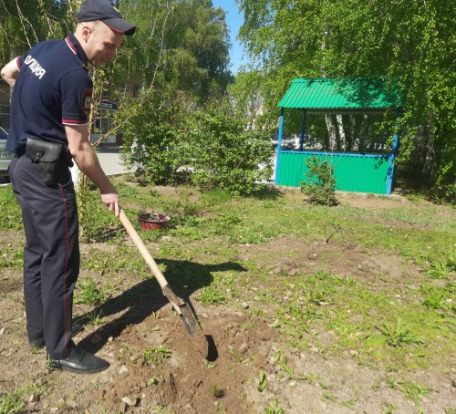 Сотрудники полиции Гайского городского округа высадили деревья в память о погибших в годы Великой Отечественной войны