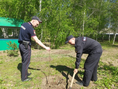 Сотрудники полиции Гайского городского округа высадили деревья в память о погибших в годы Великой Отечественной войны