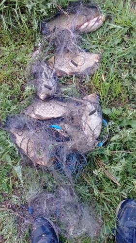 В Новоорском районе сотрудники полиции задержали браконьера, который ловил рыбу запрещенным способом В Новоорском районе сотрудники полиции задержали браконьера, который ловил рыбу запрещенным способом