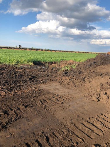 В Новосергиевском районе разлилась нефть В Новосергиевском районе разлилась нефть