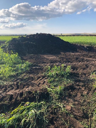 В Новосергиевском районе разлилась нефть В Новосергиевском районе разлилась нефть