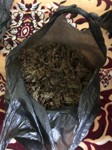 Сакмарские полицейские изъяли наркотические средства в крупном размере