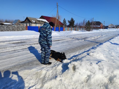 Полицейские Оренбурга задержали 15-летнего подростка, подозреваемого в угоне
