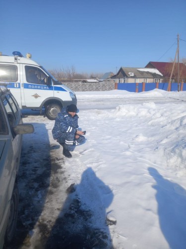 Полицейские Оренбурга задержали 15-летнего подростка, подозреваемого в угоне