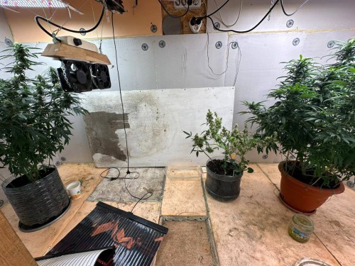 Оренбургские полицейские изъяли у местного жителя почти килограмм запрещенного вещества растительного происхождения
