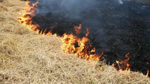 В Гайском районе сгорело 270 тюков сена из-за сигареты