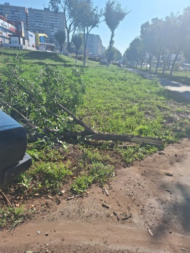 В Оренбурге полицейские задержали 9-классников, угнавших автомобиль