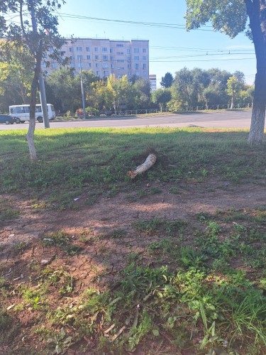 В Оренбурге полицейские задержали 9-классников, угнавших автомобиль