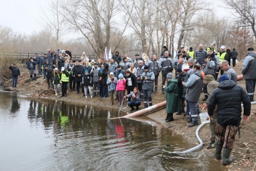 Металлурги Уральской Стали продолжают зарыблять водоемы Оренбуржья