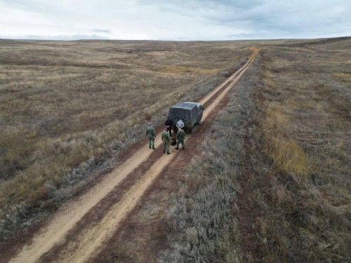 В Оренбуржье пограничники пресекли попытку незаконного пресечения границы