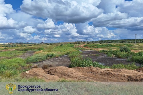 В Соль-Илецком округе очистные сооружения загубили 16 000 рыб