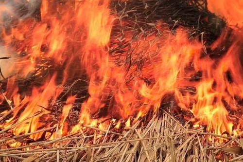 В Домбаровском районе сгорели 3000 тюков сена