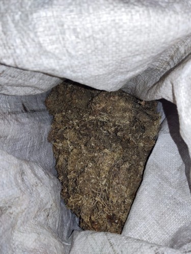 Полиция Шарлыка задержала 33-летнего мужчину за сбор конопли Полиция Шарлыка задержала 33-летнего мужчину за сбор конопли