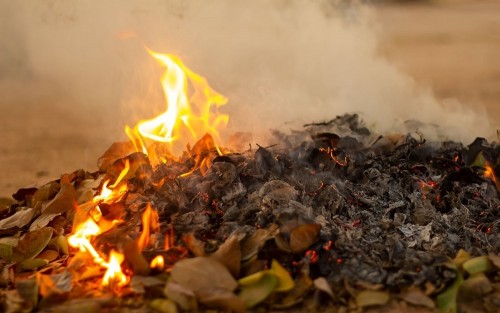 В Оренбурге подросток поджёг листву: заплатит 160 000 рублей за сгоревший гараж В Оренбурге подросток поджёг листву: заплатит 160 000 рублей за сгоревший гараж