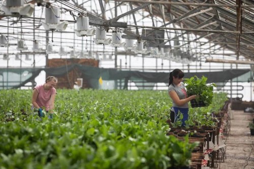 В Оренбурге в текущем году планируется украсить цветами более 27 000 м² В Оренбурге в текущем году планируется украсить цветами более 27 000 м²