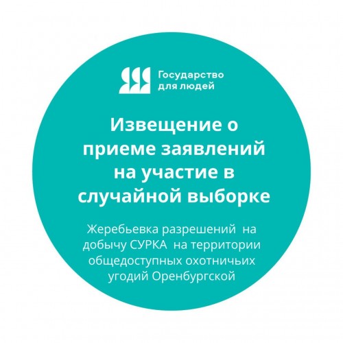 В Оренбуржье разрешения на добычу сурка распределяют с помощью жеребьевки