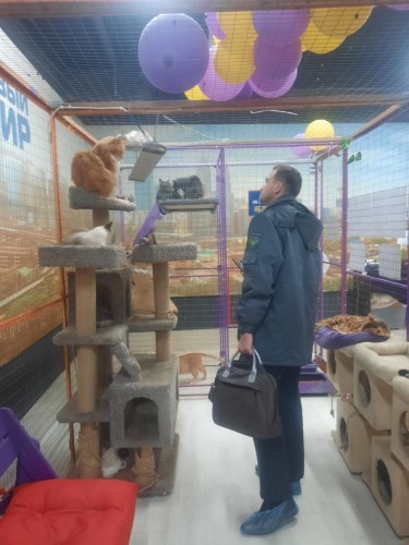 В Оренбурге обнаружили нелегальный передвижной зоопарк В Оренбурге обнаружили нелегальный передвижной зоопарк