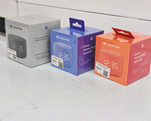 В Оренбуржье задержали уфимскую рецидивистку, укравшую 17 умных колонок