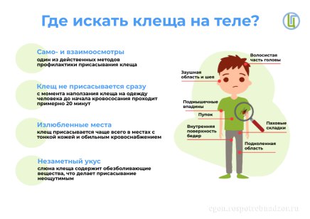 В Оренбуржье клещи покусали 1577 человек