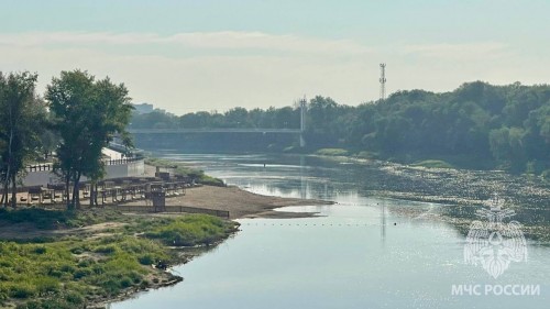 В Оренбуржье спасатель предотвратил гибель ребенка на воде В Оренбуржье спасатель предотвратил гибель ребенка на воде