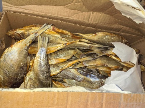 В Оренбуржье на посту границы с Казахстаном задержали 28 тонн рыбы