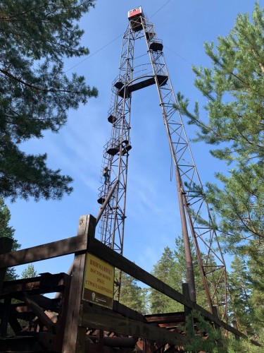 В Бузулукском бору рассказали о работе "вышкаря"