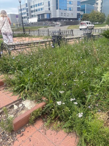 Администрацию Оренбурга обязали отремонтировать детские площадки