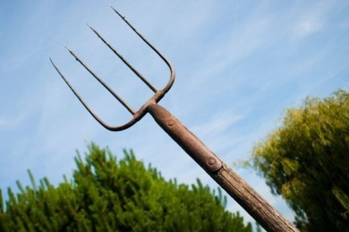 В поселке Светлый местный житель угрожал убить вилами оппонента В поселке Светлый местный житель угрожал убить вилами оппонента