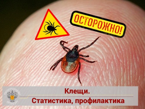 В Оренбуржье клещи покусали 1738 человек