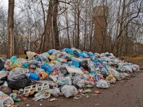 В Оренбургской области ужесточили наказание за выброс мусора в запрещенных местах