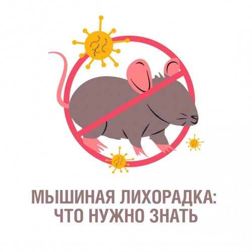 Жителей Оренбуржья предупреждают о рисках заражения геморрагической лихорадкой осенью Жителей Оренбуржья предупреждают о рисках заражения геморрагической лихорадкой осенью