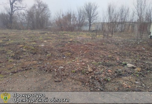 В Оренбургском районе незаконно продали земельные участки