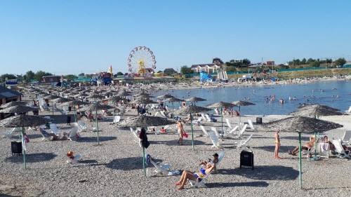 В Соль-Илецке на туристку напали птицы, занесённые в Красную книгу В Соль-Илецке на туристку напали птицы, занесённые в Красную книгу