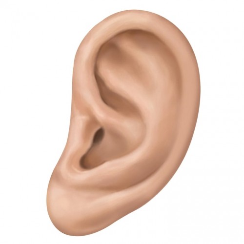 В Бугуруслане к ответственности привлечен местный житель за укус родственницы за ухо