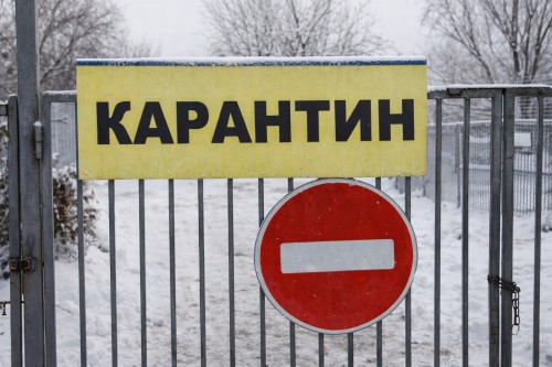 В Оренбуржье зафиксированы новые очаги бешенства