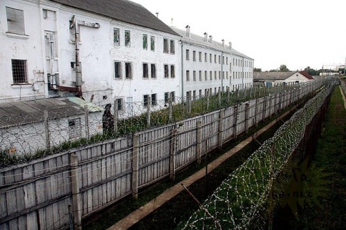 Оренбуржца отправили в колонию строгого режима за кражу электросамоката