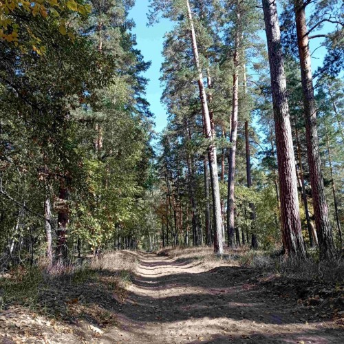 В Бузулукском бору появится система наблюдения и пеленгации гроз В Бузулукском бору появится система наблюдения и пеленгации гроз