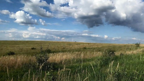 В Оренбуржье владельцы 23 заброшенных участков получат пятикратное увеличение налога В Оренбуржье владельцы 23 заброшенных участков получат пятикратное увеличение налога