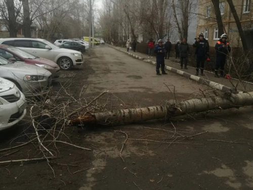 Оренбурженка, пострадавшая от падения дерева, подала иск на компенсацию в 12 миллионов рублей