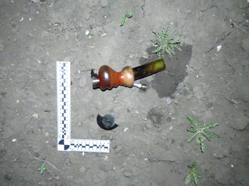 В Саракташском районе полицейские изъяли у местного жителя марихуану В Саракташском районе полицейские изъяли у местного жителя марихуану