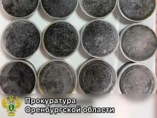 В Оренбуржье мужчину оштрафовали на 250 тысяч рублей за попытку вывезти 10 кг черной икры за границу