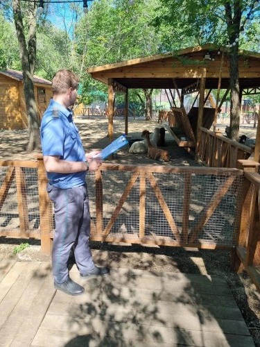 В Оренбурге зоосад с альпаками получил лицензию Россельхознадзора